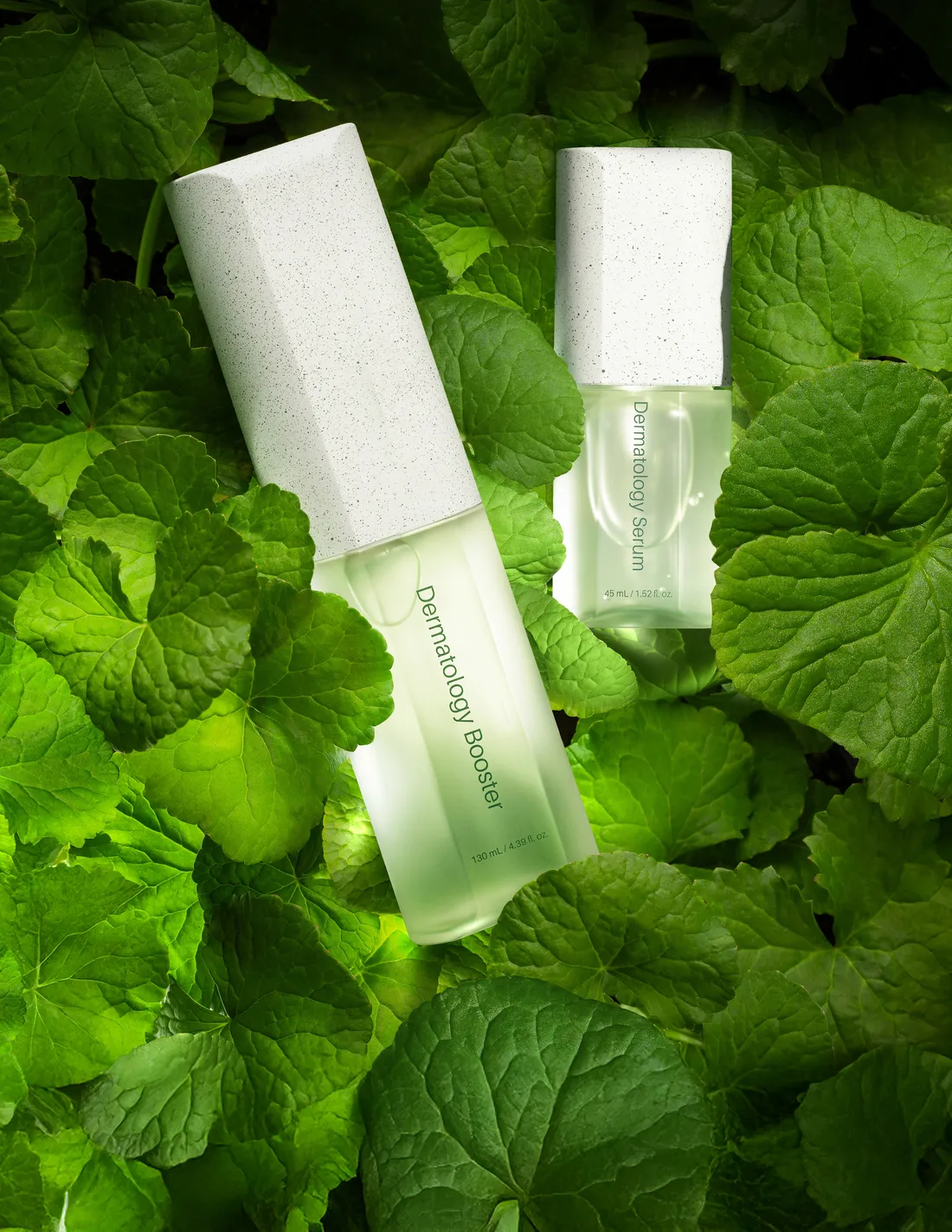 Booster y Serum del Primer Paquete de Dermatología ICD entre hojas de centella